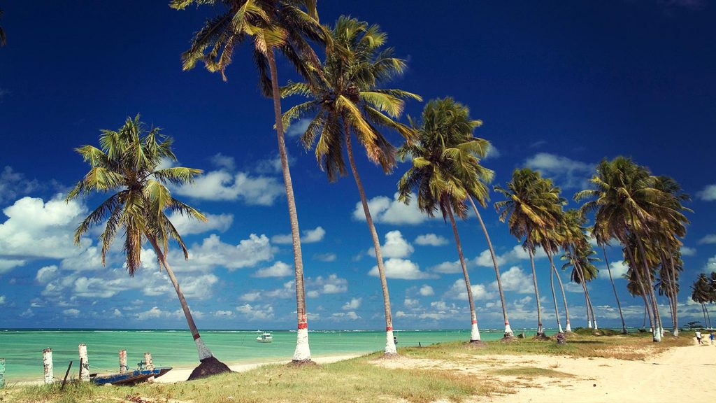 sao-miguel-do-gostoso-beach